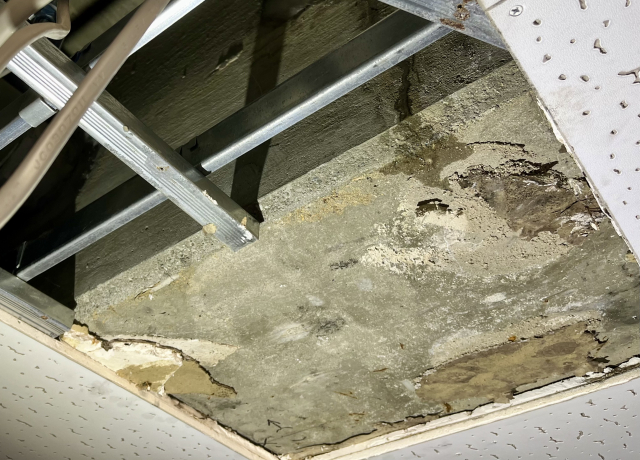 レジリエンスウレア